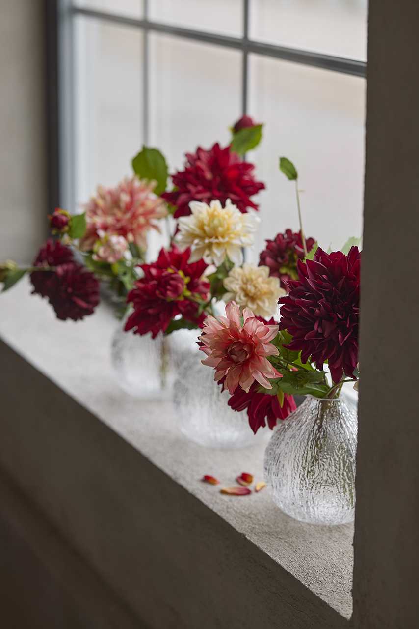 /images/imagebankSeasons/small/Mr Plant AW24/2412-20,2412-23,3374-85.jpg